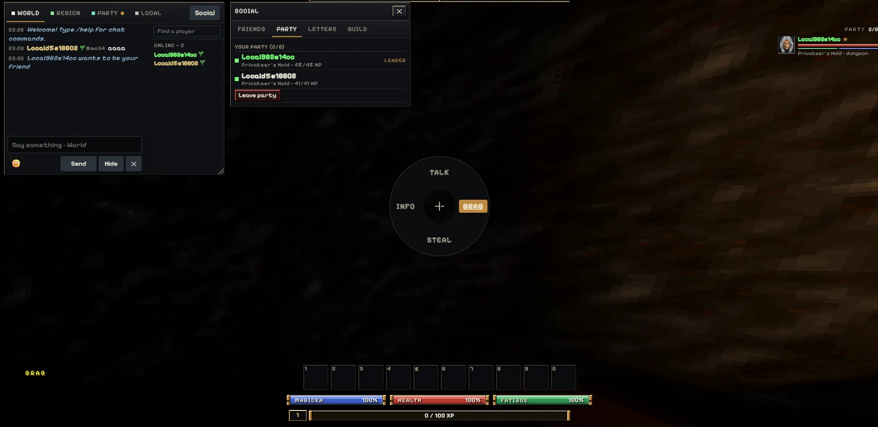 Daggerfall Online party panel displaying two members during a local guide session