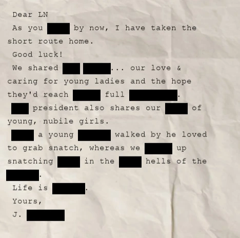 Epstein Puzzle Files